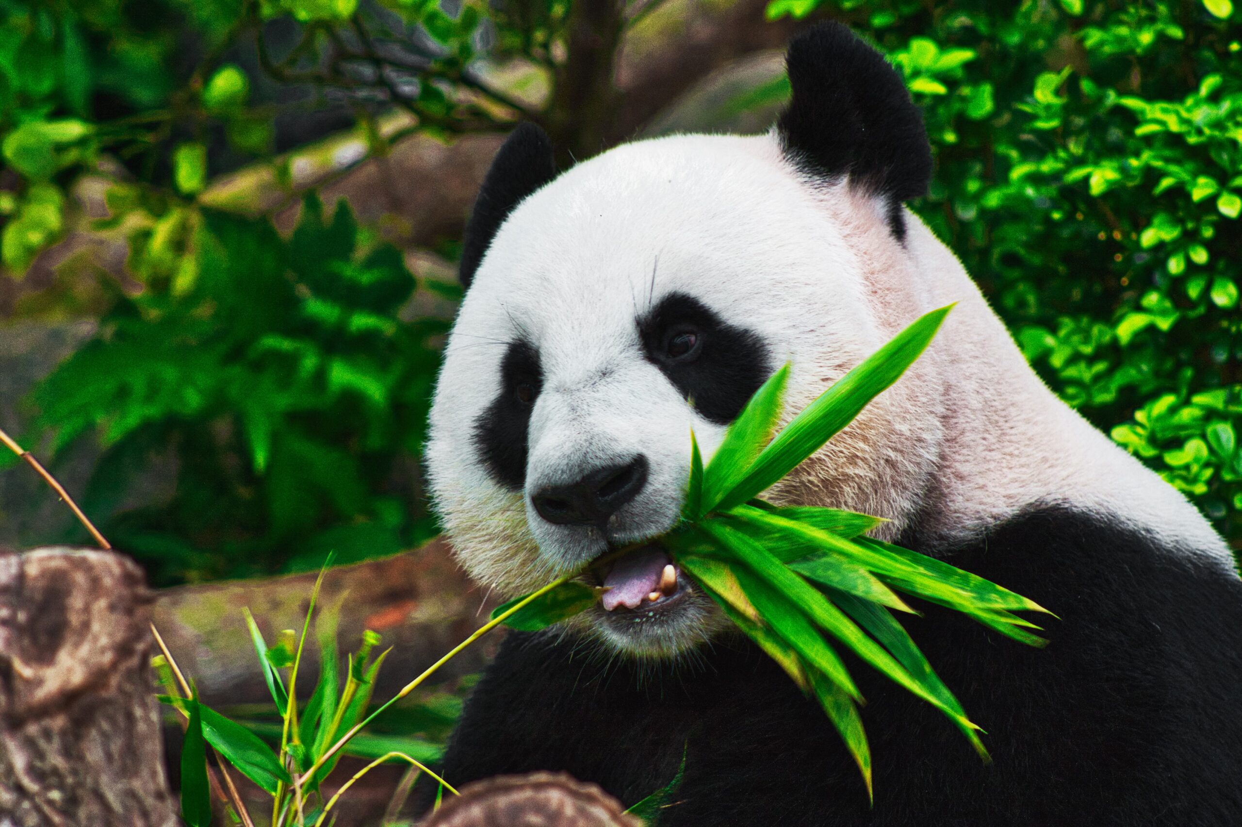 sid-balachandran-_9a-3NO5KJE-unsplash sid-balachandran-_9a-3NO5KJE-unsplash